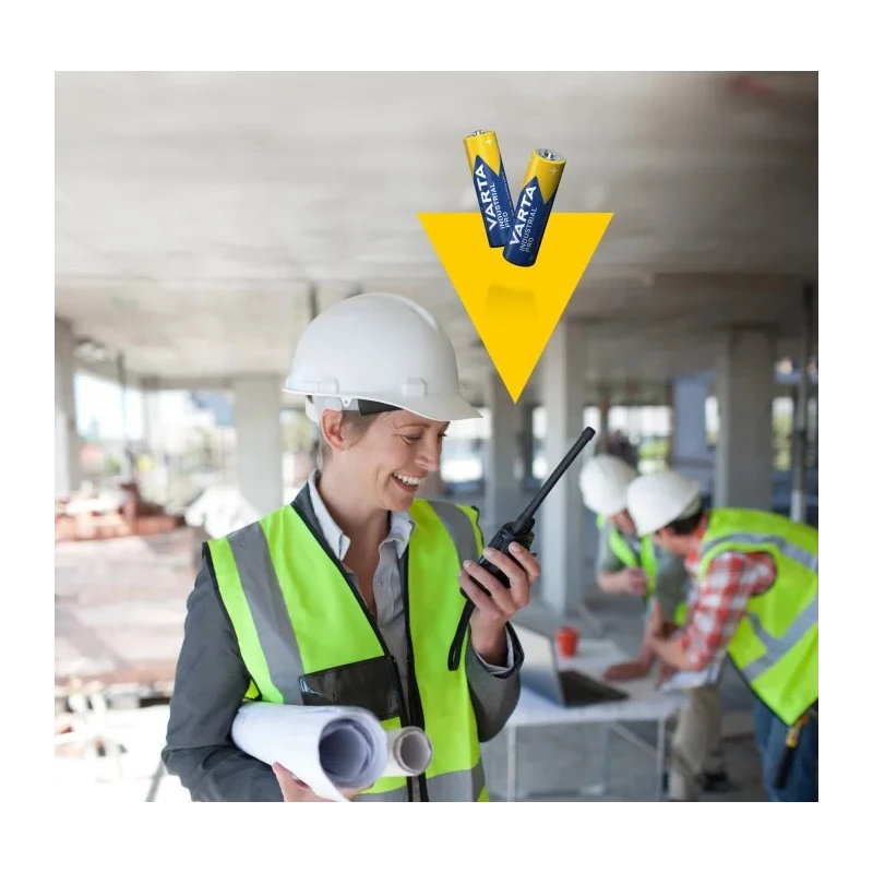 Varta Industrial Pro Alkaline AA Battery 1.5 V 2.95Ah LR6 Model 4008496882069
