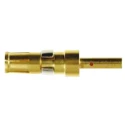 FCT from Molex Female Crimp D-Sub Connector Power Contact Gold over Nickel Socket 10 AWG FMP053S103 / 1727040157