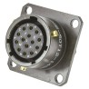 Amphenol Limited Brass Straight 14 Way Flange MIL Spec Circular Connector Female Olive Drab 62GB-50T12-14SN