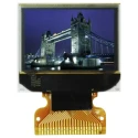 Midas 0.95 in Passive Matrix OLED Display 96 x 64 Pixel TAB Multi Interface MCOT096064AZ-RGBM