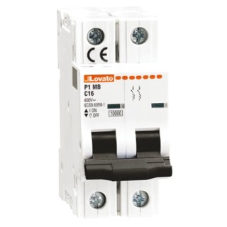 Lovato Electric Miniature Circuit Breaker 2-Pole 6A Type B 400V AC 80V DC 10 kA Breaking Capacity P1MB