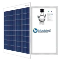 bluebird-100-watt-12-volt-polycrystalline-solar-panel-33081