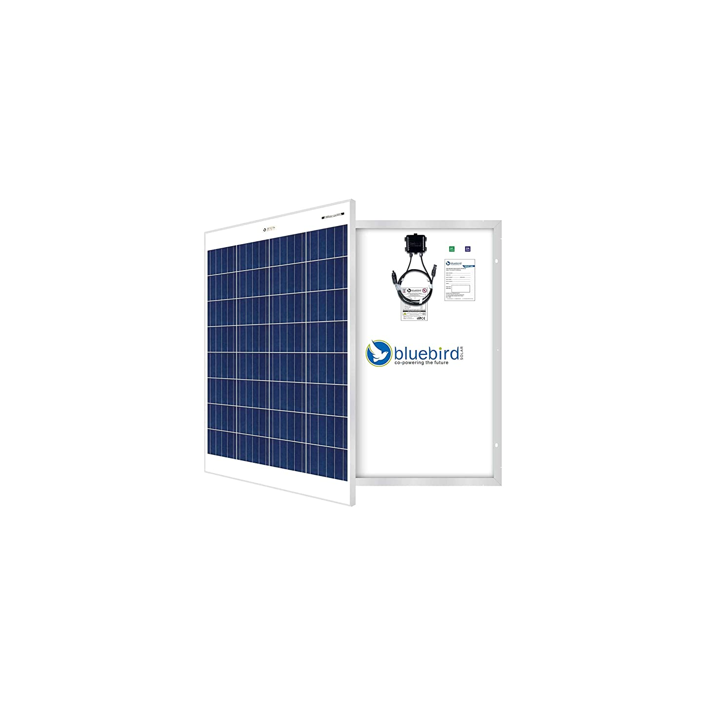 Buy Polycrystalline Solar Panel 100 Watt 12 Volt at best price