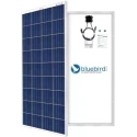 bluebird-165-watt-12-volt-polycrystalline-solar-panel-33084