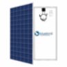 Polycrystalline Solar Panel Bluebird 300 Watt 24 Volt