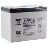 Yuasa 12 V Sealed Lead Acid Battery, 80 Ah, AGM Construction, ABS Case, 168mm x 212.5mm REC80-12