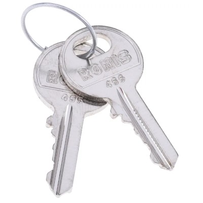 Rittal 2-way Spanner Lock Key Cabinet Key, 2 Key Profiles, Compatible with 455 Locks 2532008