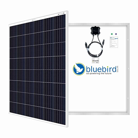 bluebird-250-watt-24-volt-mono-perc-solar-panel-33234