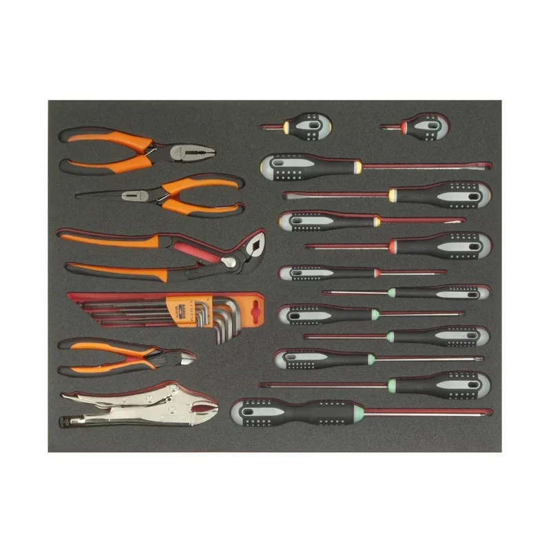 Bahco 25 Piece Maintenance Tool Kit with Foam Inlay FF1A5001