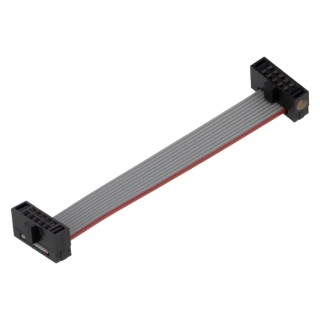 Samtec FFSD Series 10-Conductor Flat Ribbon Cable 1.27 mm Pitch 50 mm Length FFSD-05-D-02.00-01-N