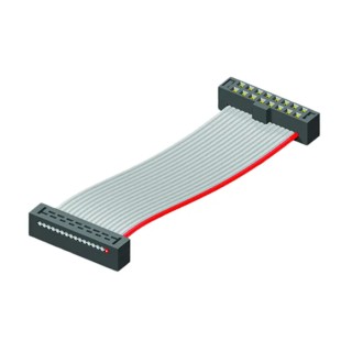 Samtec Flat Ribbon IDC Socket Cable Assembly 50 mm Length Tiger Eye IDC to Tiger Eye IDC TCSD-20-D-02.00-01-N
