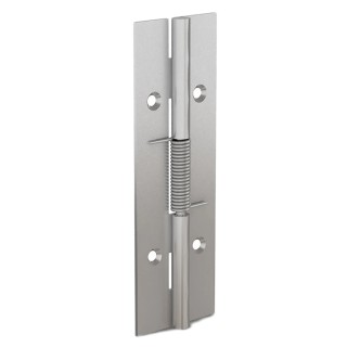 Pinet Raw 304 Stainless Steel Spring Hinge with Spring Loaded Pin, 120mm Length x 40mm Width x 1.5mm Thickness, 71-1-3790