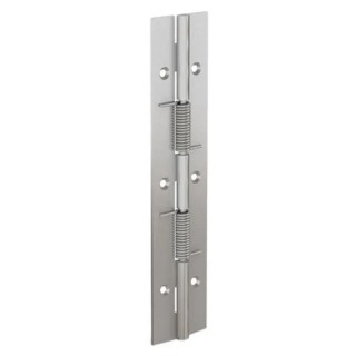 Pinet Raw 304 Stainless Steel Spring Hinge with Spring Loaded Pin, 180 mm Length, 40 mm Width, 1.5 mm Thickness 71-1-3791