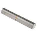 Pinet Raw 304 Stainless Steel Lift Off Bullet Hinge Weld-on Fixing 120mm x 20mm 14-7-3698