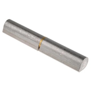 Pinet Raw 304 Stainless Steel Lift Off Bullet Hinge Weld-on Fixing 120mm x 20mm 14-7-3698