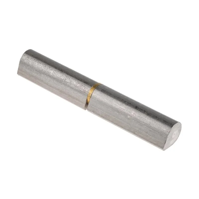 Pinet Raw 304 Stainless Steel Lift Off Bullet Hinge Weld-on Fixing 120mm x 20mm 14-7-3698
