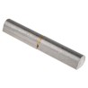 Pinet Raw 304 Stainless Steel Lift Off Bullet Hinge Weld-on Fixing 120mm x 20mm 14-7-3698