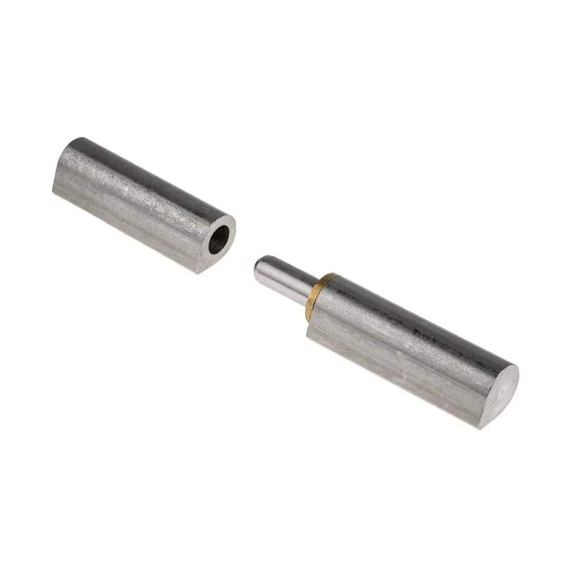 Pinet Raw 304 Stainless Steel Lift Off Bullet Hinge Weld-on Fixing 120mm x 20mm 14-7-3698