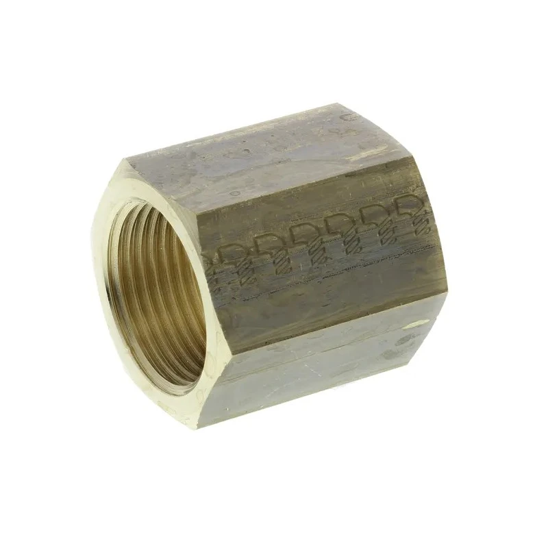Legris Pneumatic Brass Pipe Fitting Threaded Coupler Female G 3/4 in to Female G 3/4 in 0155 27 27