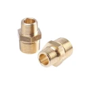 Legris Pneumatic Fitting Brass Pipe Fitting Straight Threaded Adapter Male R 1/2 in to Male R 3/8 in 0121 21 17