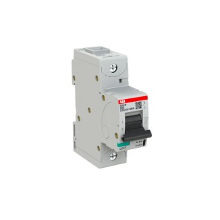 ABB High Performance S800S Miniature Circuit Breaker 1-Pole 80A Type B 690V AC 250V DC 50kA Breaking Capacity 2CCG001214R0001