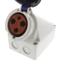 MENNEKES Industrial Power Connector Wall Mount Receptacle 3 Pole 63A 230V IP67 Blue IP67