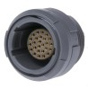 LEMO Circular Connector, 26 Contacts, Panel Mount, M17 Connector, Socket, Female, IP50 Protection, Redel P CKB.M26.GL.LG