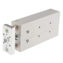 Festo Pneumatic Guided Cylinder 16mm Bore, DFM Series, 100 mm Stroke, Double Acting, Through Hole Mount DFM-16-100-P-A-GF