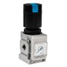 Festo Pneumatic Regulator G 1/4 Female MS4-LR-1/4-D6-AS