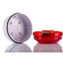 Moflash Industrial Red Beacon LED Bulb 85V AC/DC Flashing Steady Rear Mount IP65 LED195-03WH-SB-02