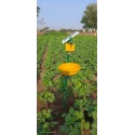 solar-insect-light-trap