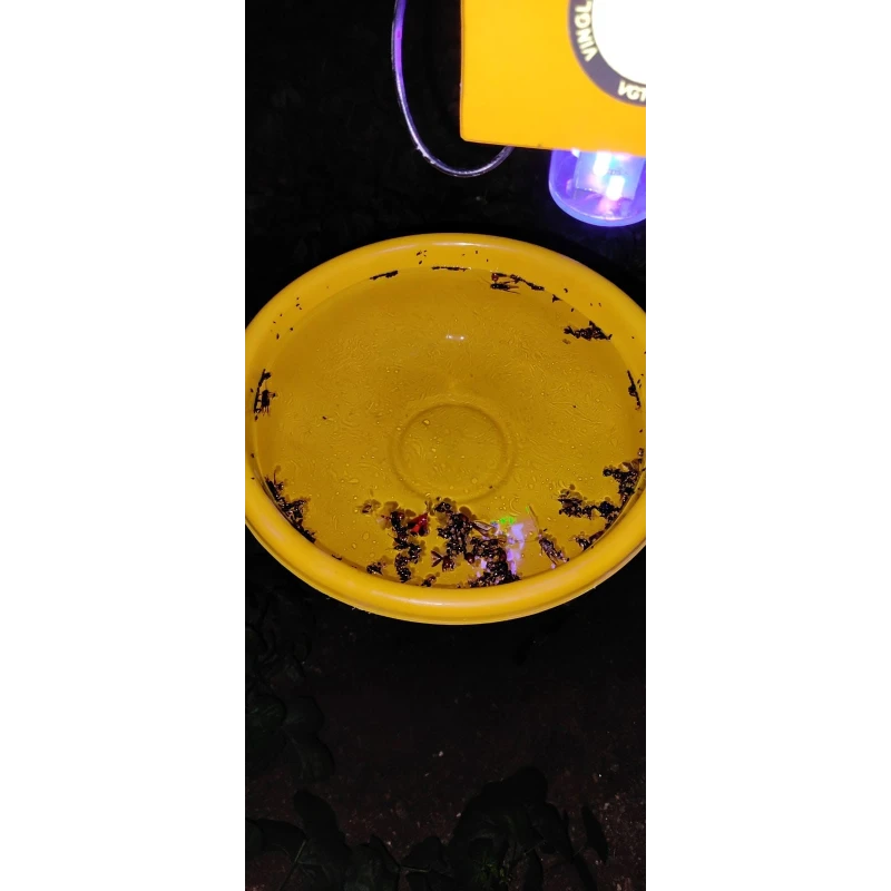  solar-insect-light-trap-1