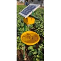  solar-insect-light-trap-2