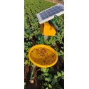  solar-insect-light-trap-4