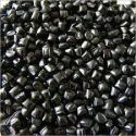 prime-black-masterbatch-kp-c-4050-34492