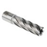 RS PRO High-Speed Steel (HSS) Magnetic Drill Bit 18 mm Cutter Diameter 50 mm Cutting Depth Bright Finish 123-8496