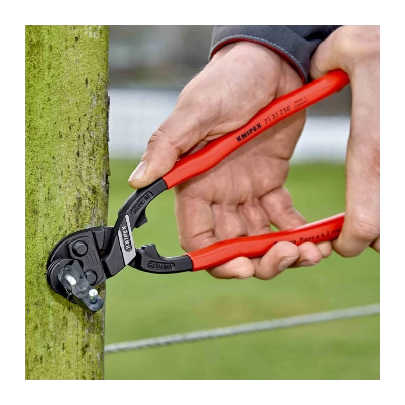 Knipex Compact Bolt Cutter 250 mm Overall Length 6 mm Cutting Capacity Plastic Grip Plastic Handle Chrome Vanadium 71 31 250