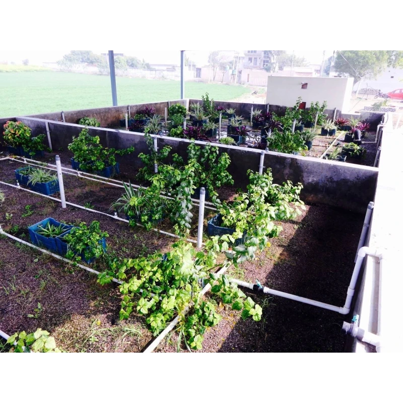  organic-solutions-advanced-eco-reactor-green-stp-1