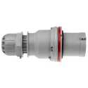 Scame Optima IP44 Red Cable Mount 3P+N+PE Straight Industrial Power Connector 63A 415V IP44 Italy 