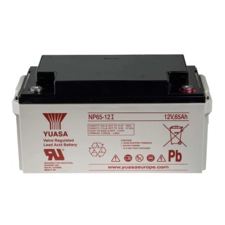 Yuasa 12 V Sealed Lead Acid Battery, M6 Insert Terminal, 65 Ah Capacity, VRLA AGM Construction NP65-12I