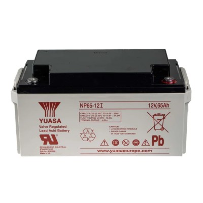 Yuasa 12 V Sealed Lead Acid Battery, M6 Insert Terminal, 65 Ah Capacity, VRLA AGM Construction NP65-12I