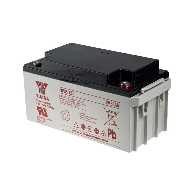 Yuasa 12 V Sealed Lead Acid Battery, M6 Insert Terminal, 65 Ah Capacity, VRLA AGM Construction NP65-12I