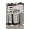 SKF Battery Pack for Use with TLSD Series Compatible Lubrication System TLSD 1-BAT