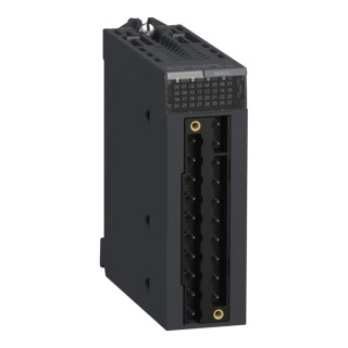Schneider Electric PLC I/O Module Modicon X80 Rack Mount BMXAMO0210
