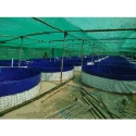  biofloc-fish-farming-tank-capacity-45000litre-34955-1