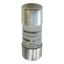 Mersen 50A FF Ceramic Cartridge Fuse 22 x 58 mm 700V AC Protistor Series FR22GR69V50T C1018626 C1018626 / FR22GR69V50T