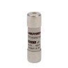 Mersen 40A FF Ceramic Cartridge Fuse 14 x 51 mm, 700V AC, Super Fast Acting Protistor S1017191 / FR14GR69V40T