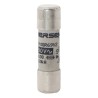 Mersen Super Fast Acting 2A Ceramic Cartridge Fuse 10 x 38 mm 700V AC Protistor Q1014567 / FR10GR69V2