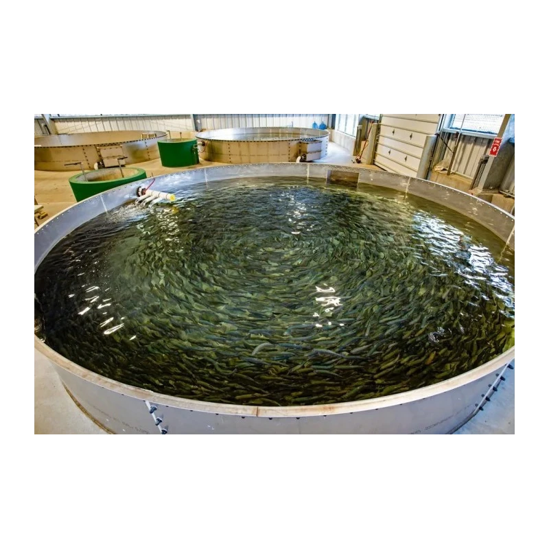 recirculating-aquaculture-system-capacity-10000-liter-34983