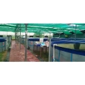  recirculating-aquaculture-system-capacity-10000-liter-34983-1